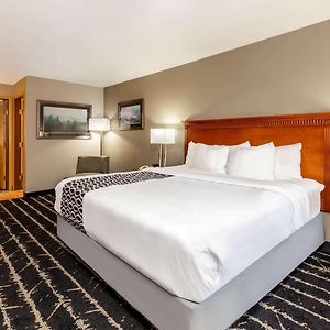 Queen Suite