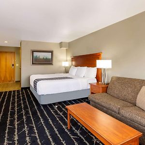 Executive King Room